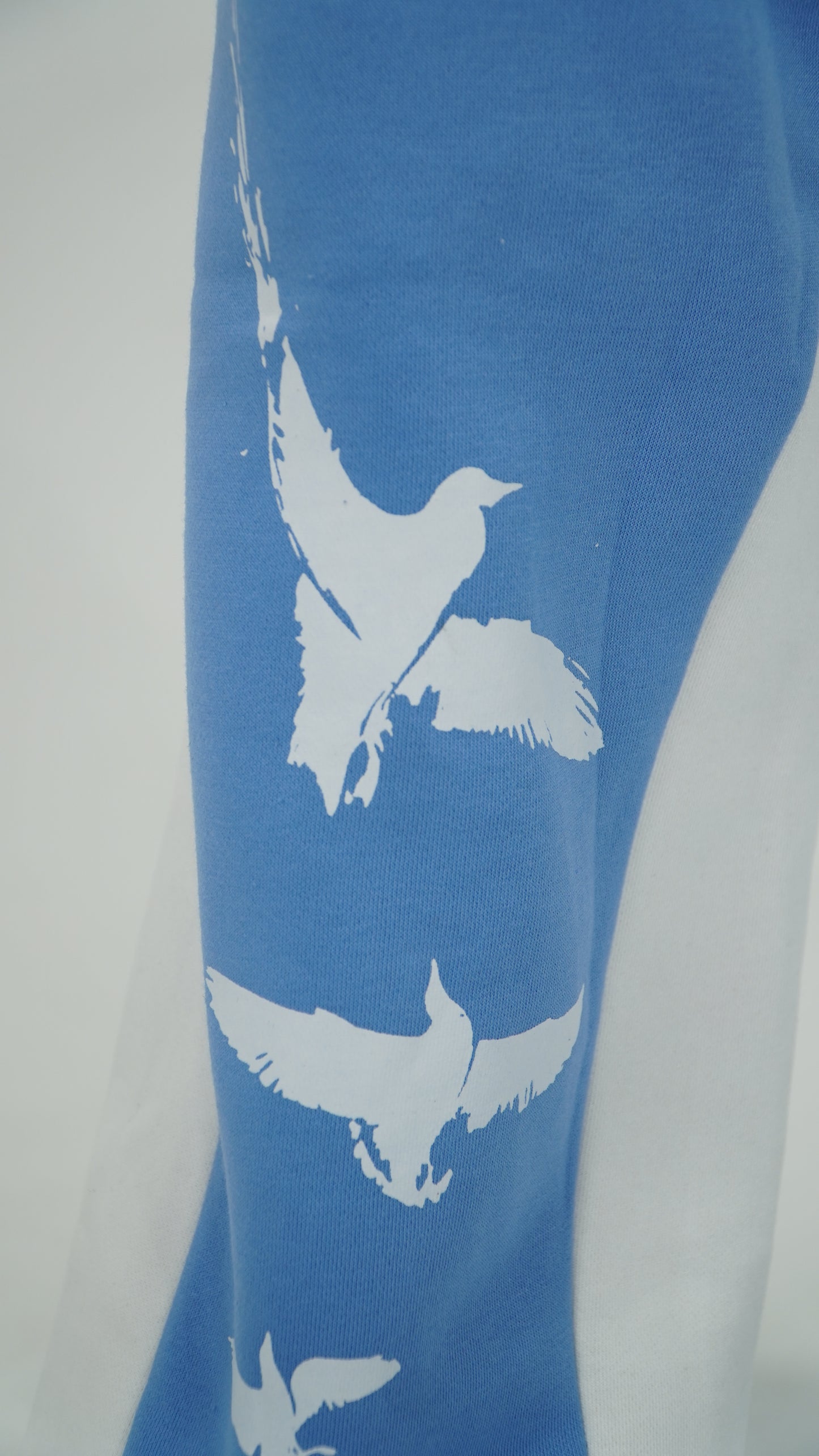 POG FLARE PANTS (BLUE)